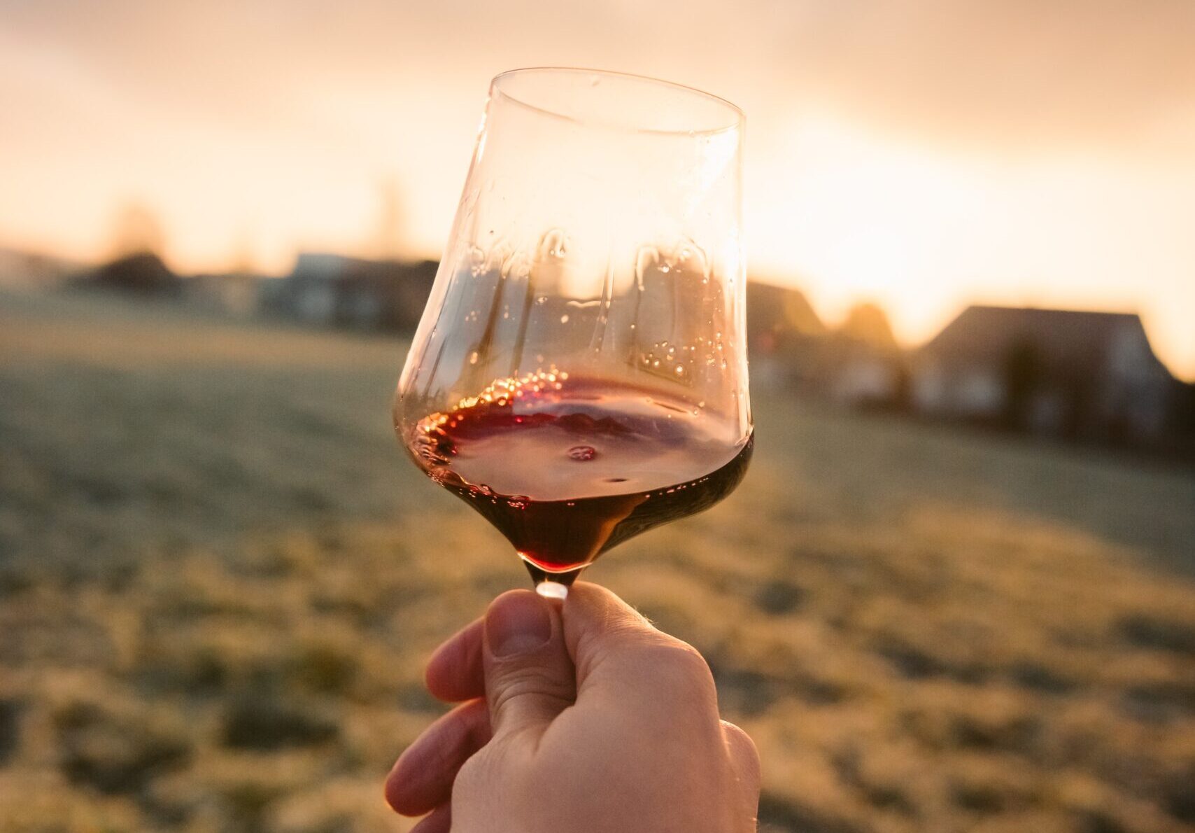 Experiência - degustação de vinhos