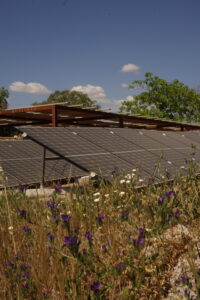 Painel Solar da aLDEIA COM flores do campo