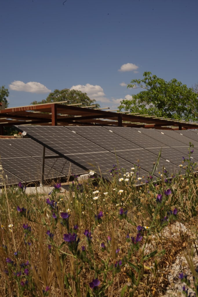 Painel Solar da aLDEIA COM flores do campo