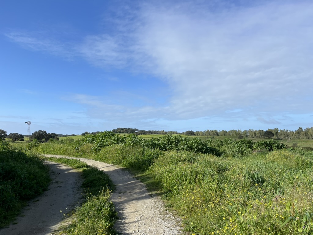 Turismo Sustentável-blog